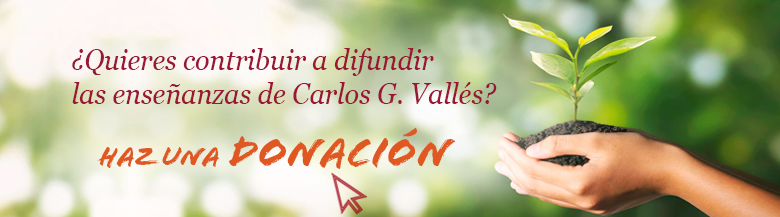Haz una domación a la Fundación Carlos Vallés