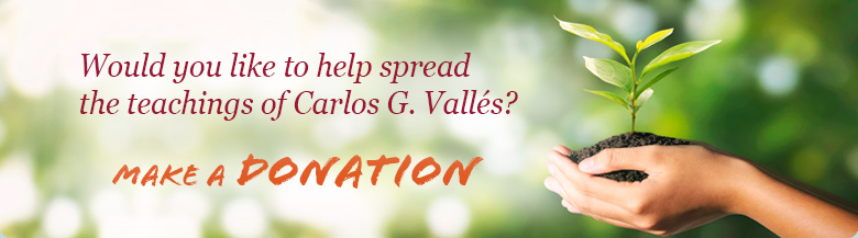 Haz una domación a la Fundación Carlos Vallés